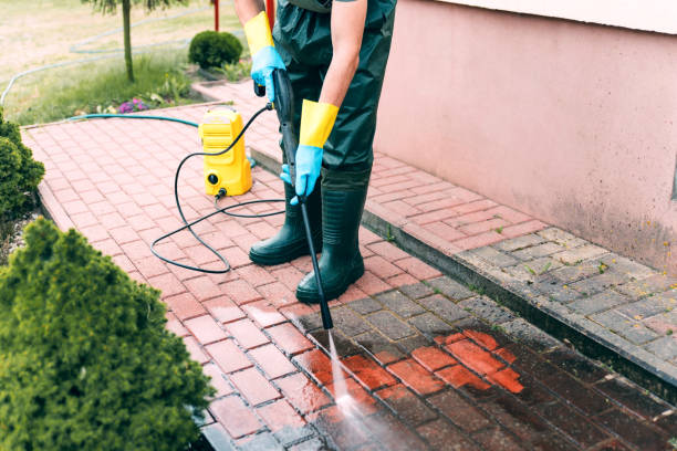 Best Local Pressure Washing Services  in Jerseyvle, IL