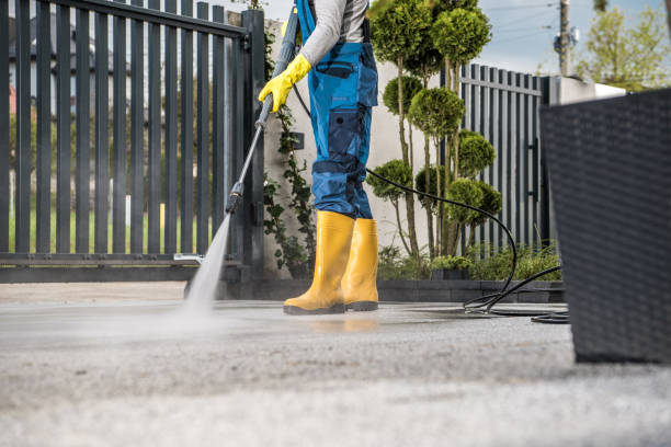 Best Local Pressure Washing Services  in Jerseyvle, IL