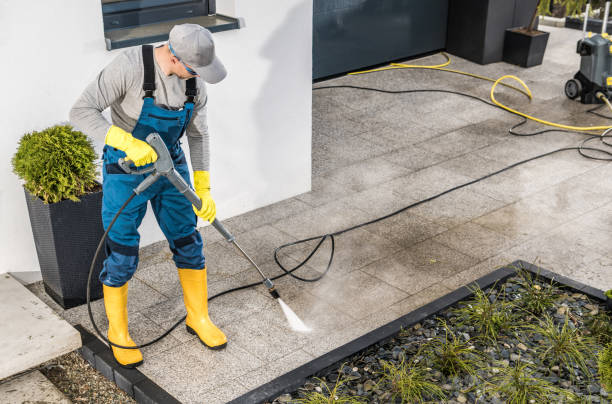 Best Roof Pressure Washing  in Jerseyvle, IL