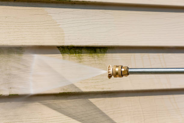 Best Affordable Power Washing  in Jerseyvle, IL
