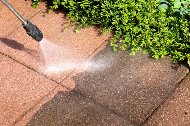 Best Exterior Home Cleaning  in Jerseyvle, IL